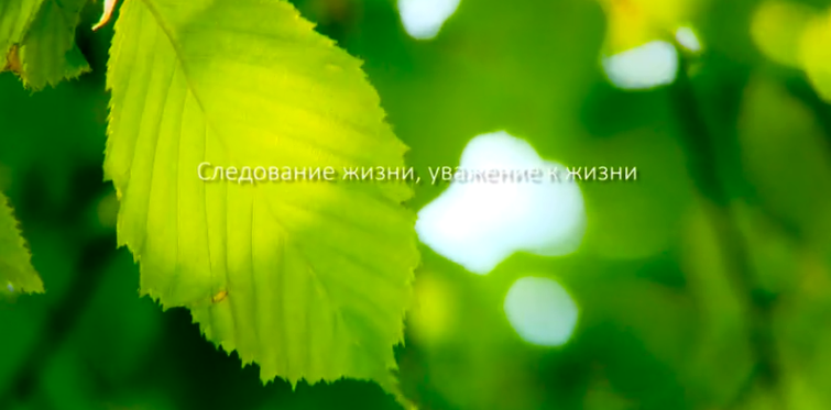 腾博会官网集团形象片（русский）