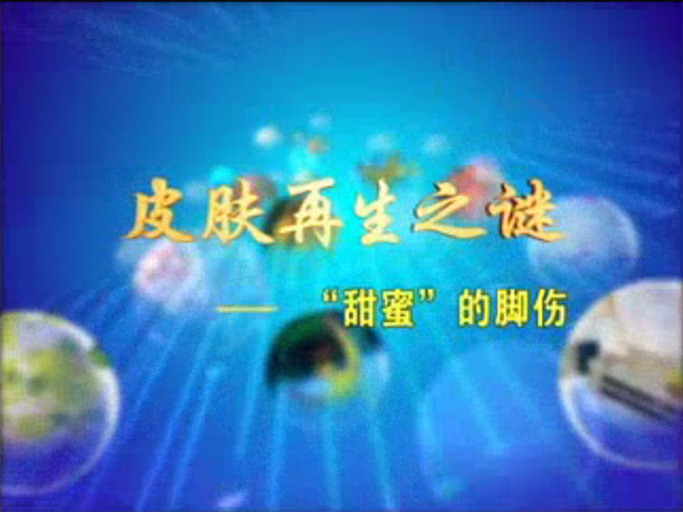 皮肤再生之谜--"甜蜜" 的脚伤