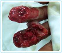 腾博会官网 - 诚信为本,专业效劳!