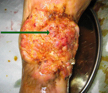 腾博会官网 - 诚信为本,专业效劳!