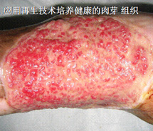 腾博会官网 - 诚信为本,专业效劳!