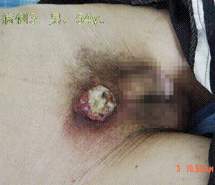 腾博会官网 - 诚信为本,专业效劳!