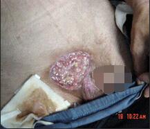 腾博会官网 - 诚信为本,专业效劳!