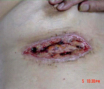 腾博会官网 - 诚信为本,专业效劳!