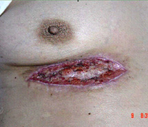 腾博会官网 - 诚信为本,专业效劳!