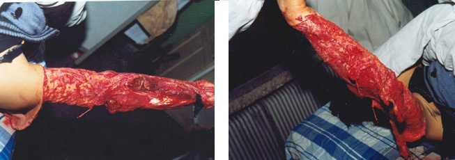 腾博会官网 - 诚信为本,专业效劳!