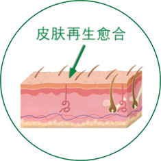 腾博会官网 - 诚信为本,专业效劳!