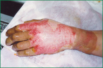 腾博会官网 - 诚信为本,专业效劳!