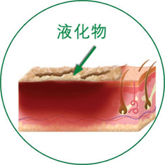 腾博会官网 - 诚信为本,专业效劳!