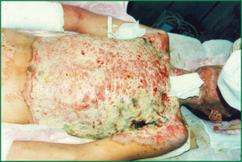 腾博会官网 - 诚信为本,专业效劳!