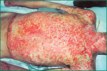 腾博会官网 - 诚信为本,专业效劳!