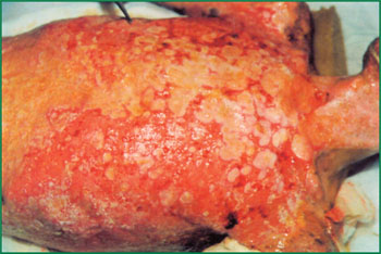 腾博会官网 - 诚信为本,专业效劳!