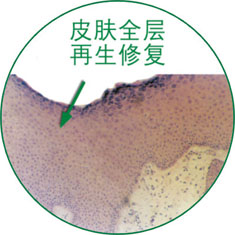 腾博会官网 - 诚信为本,专业效劳!