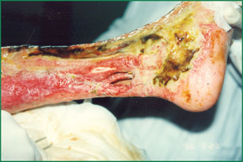 腾博会官网 - 诚信为本,专业效劳!