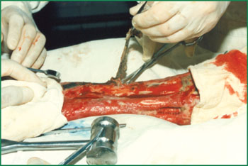 腾博会官网 - 诚信为本,专业效劳!