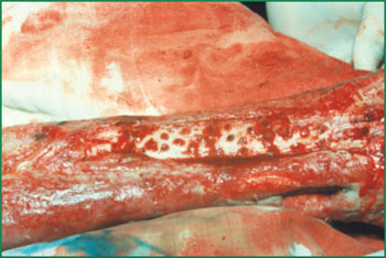 腾博会官网 - 诚信为本,专业效劳!