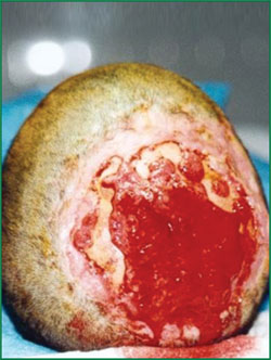 腾博会官网 - 诚信为本,专业效劳!