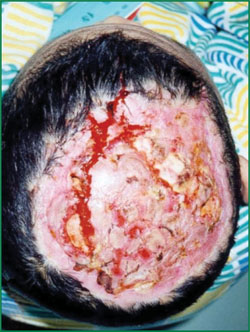 腾博会官网 - 诚信为本,专业效劳!