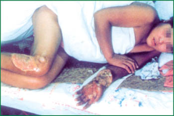 腾博会官网 - 诚信为本,专业效劳!