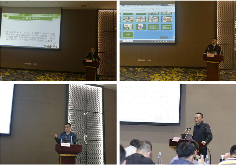 腾博会官网 - 诚信为本,专业效劳!