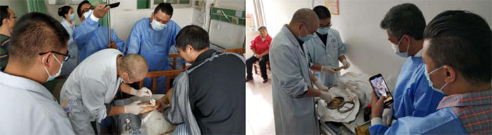 腾博会官网 - 诚信为本,专业效劳!