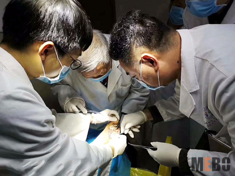 腾博会官网 - 诚信为本,专业效劳!