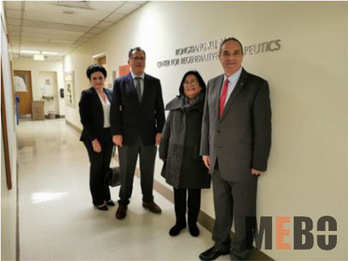 腾博会官网 - 诚信为本,专业效劳!