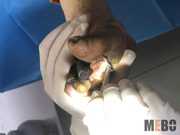 腾博会官网 - 诚信为本,专业效劳!