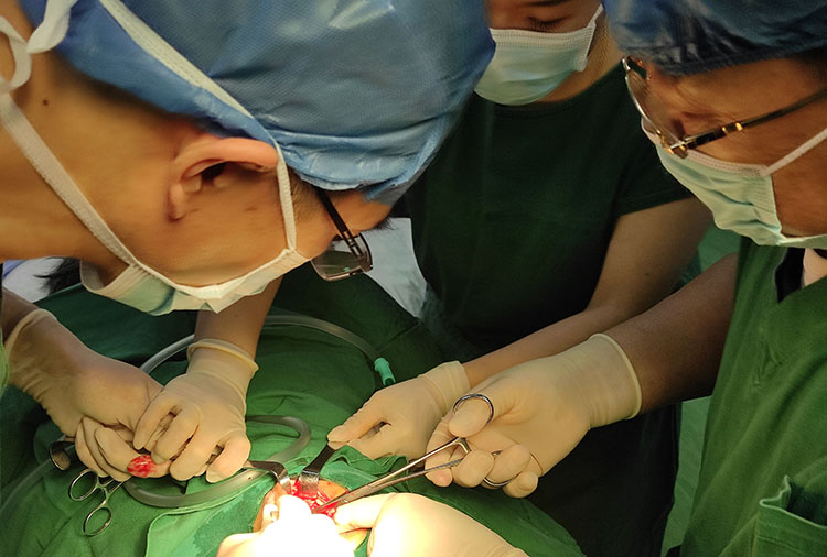 腾博会官网 - 诚信为本,专业效劳!