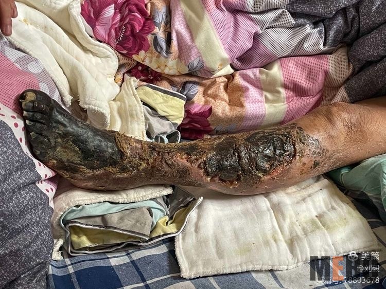 腾博会官网 - 诚信为本,专业效劳!