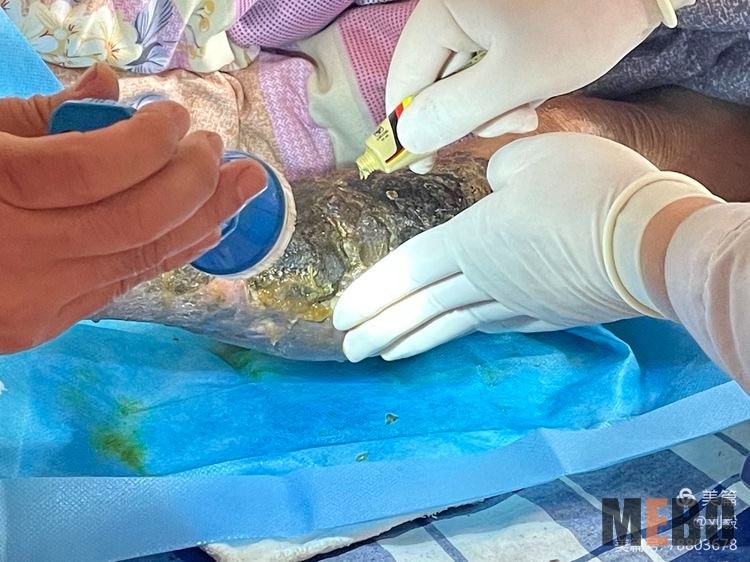 腾博会官网 - 诚信为本,专业效劳!