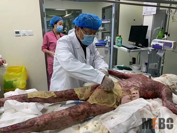 腾博会官网 - 诚信为本,专业效劳!