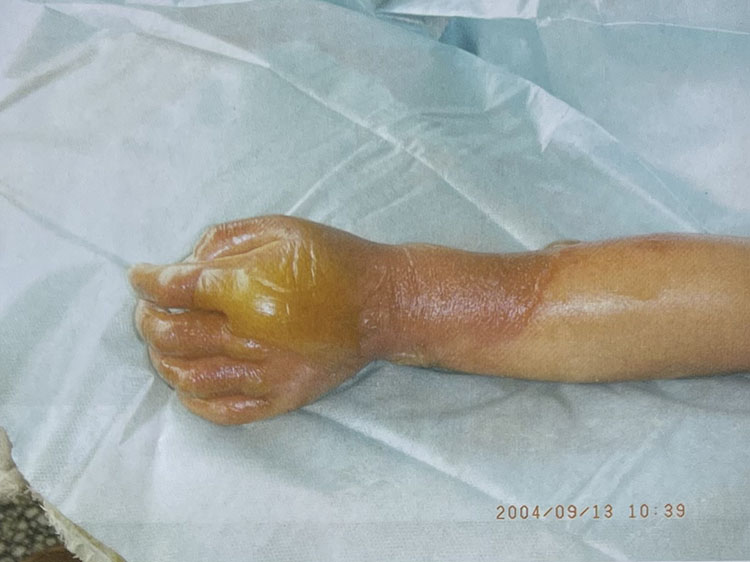 腾博会官网 - 诚信为本,专业效劳!