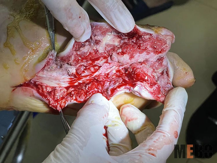 腾博会官网 - 诚信为本,专业效劳!