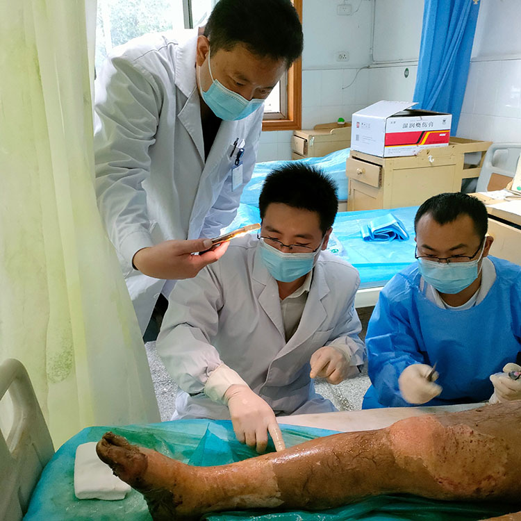 腾博会官网 - 诚信为本,专业效劳!