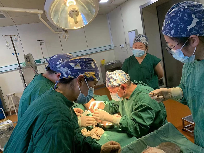 腾博会官网 - 诚信为本,专业效劳!