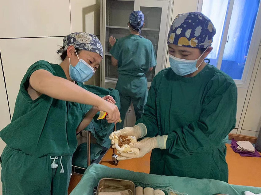 腾博会官网 - 诚信为本,专业效劳!