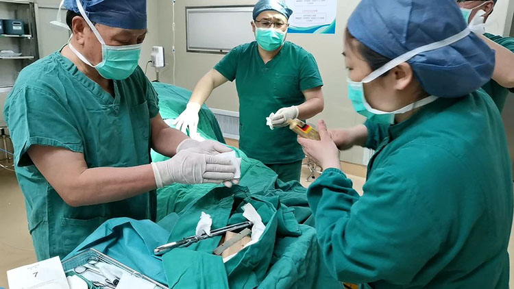 腾博会官网 - 诚信为本,专业效劳!