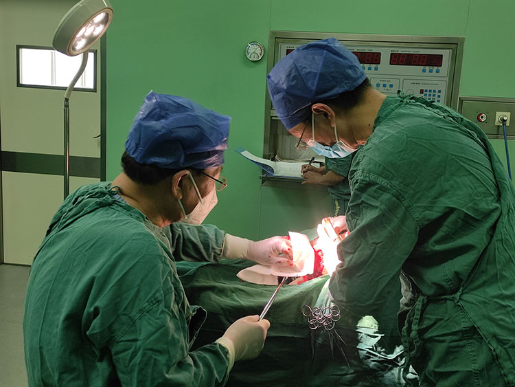 腾博会官网 - 诚信为本,专业效劳!