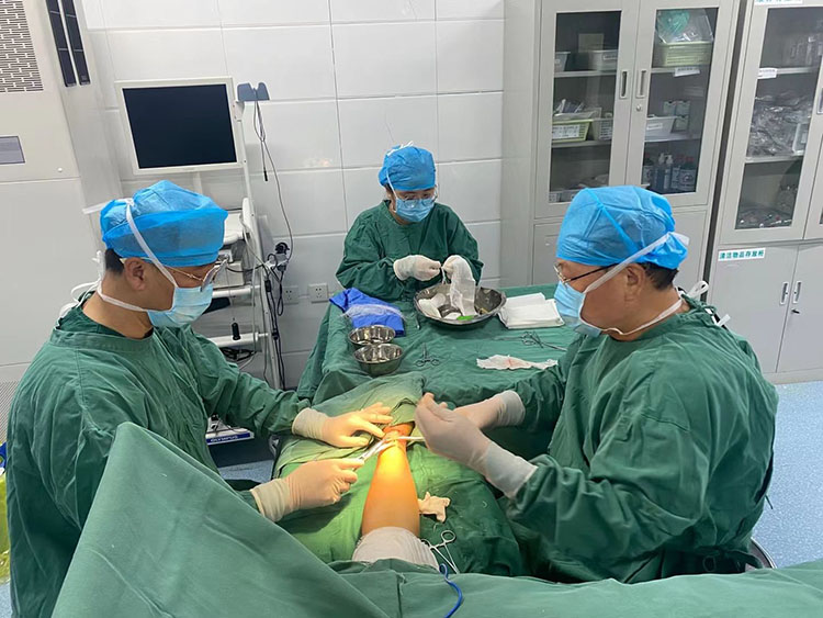 腾博会官网 - 诚信为本,专业效劳!