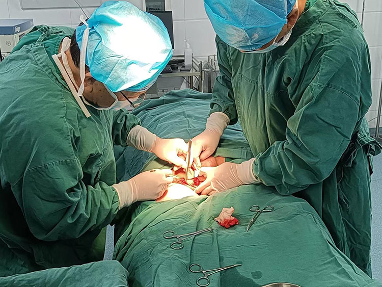 腾博会官网 - 诚信为本,专业效劳!