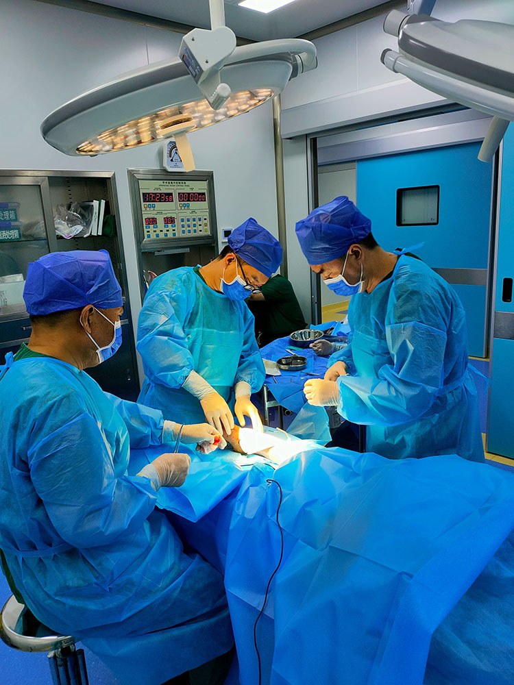 腾博会官网 - 诚信为本,专业效劳!