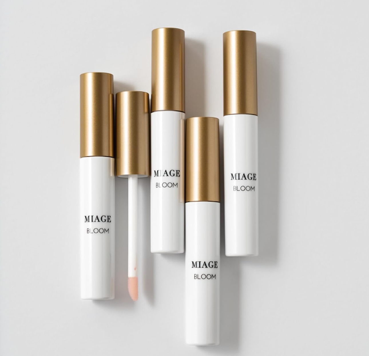 腾博会官网 - 诚信为本,专业效劳!