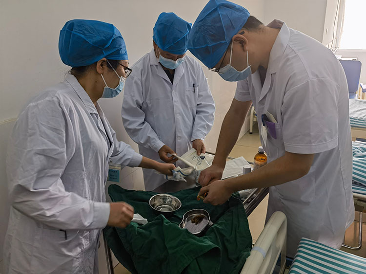 腾博会官网 - 诚信为本,专业效劳!