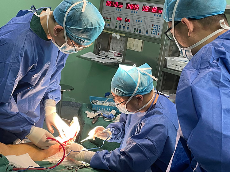 腾博会官网 - 诚信为本,专业效劳!