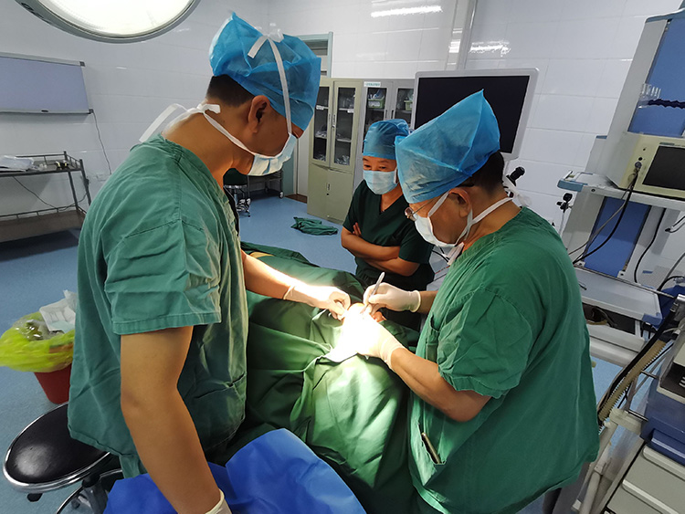 腾博会官网 - 诚信为本,专业效劳!