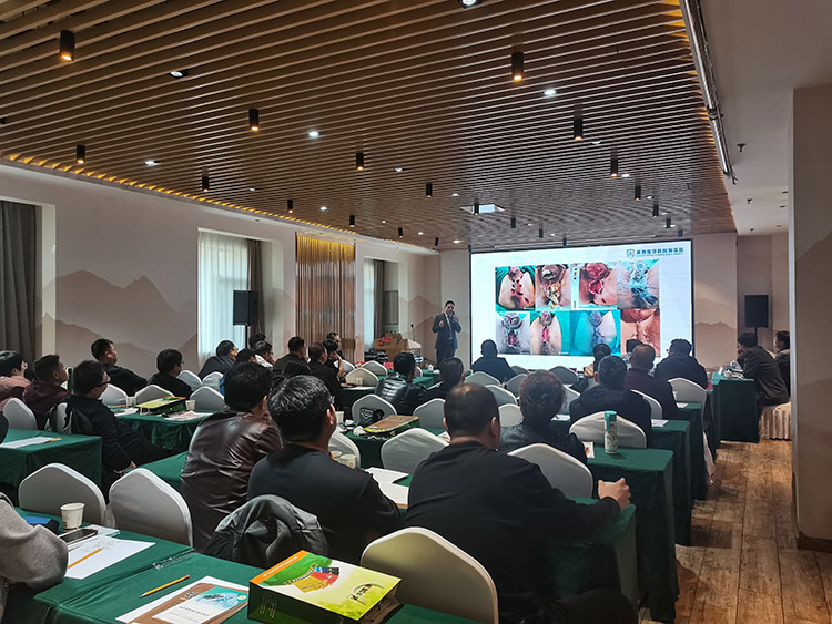 腾博会官网 - 诚信为本,专业效劳!