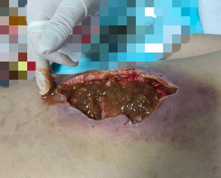 腾博会官网 - 诚信为本,专业效劳!