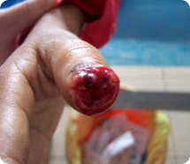 腾博会官网 - 诚信为本,专业效劳!