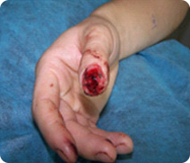 腾博会官网 - 诚信为本,专业效劳!